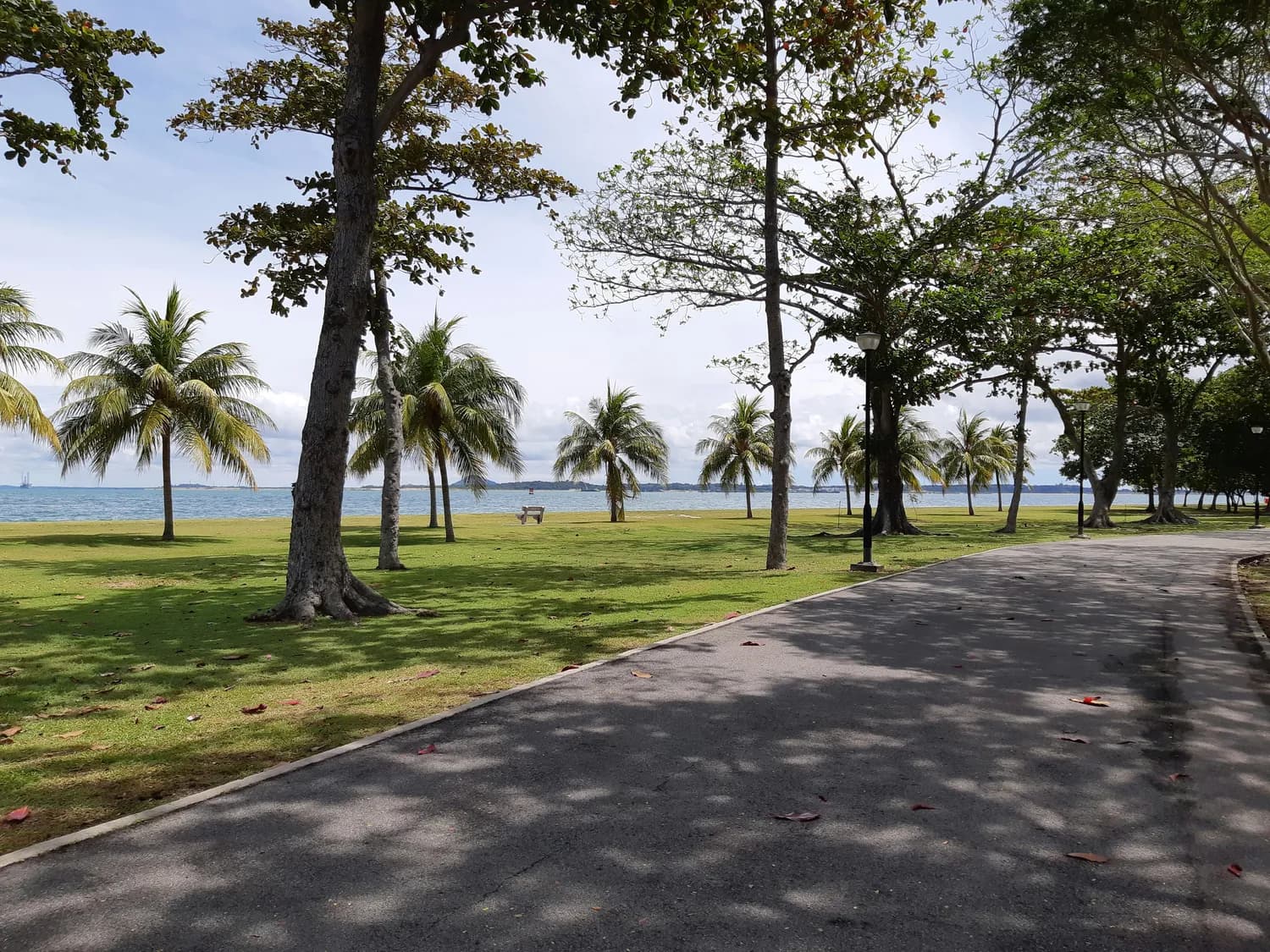 深圳三大网红景点打卡攻略：深圳湾公园、平安金融中心、华侨城创意园