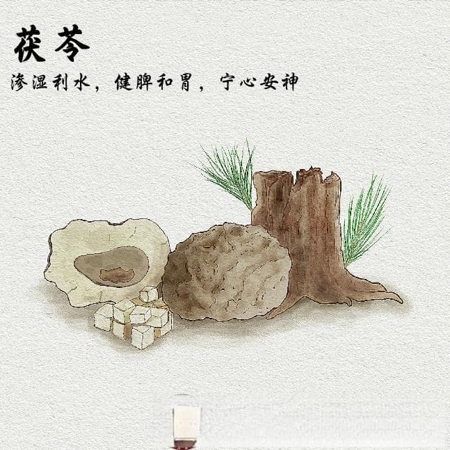茯苓是个宝，怎么买才好？