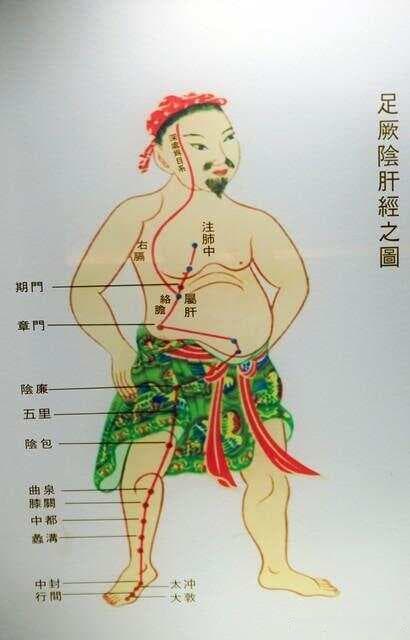 中医里重要的两个引火归元药材
