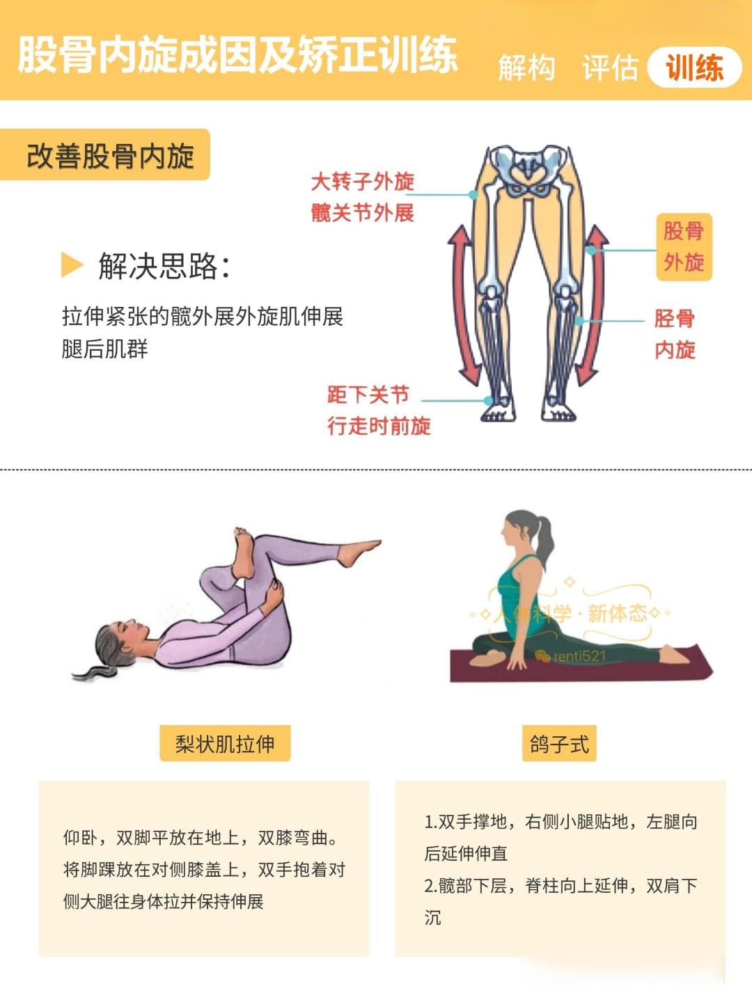 股骨内旋的评估、成因与解决思路