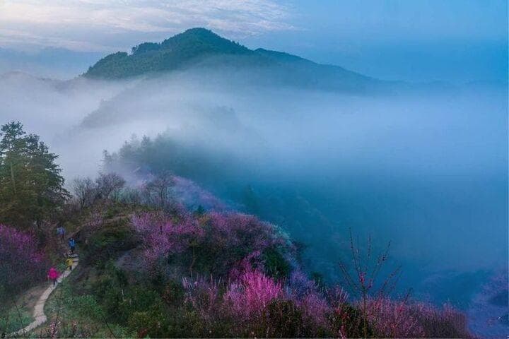 卖花渔村：卖花千年 “渔”你有约