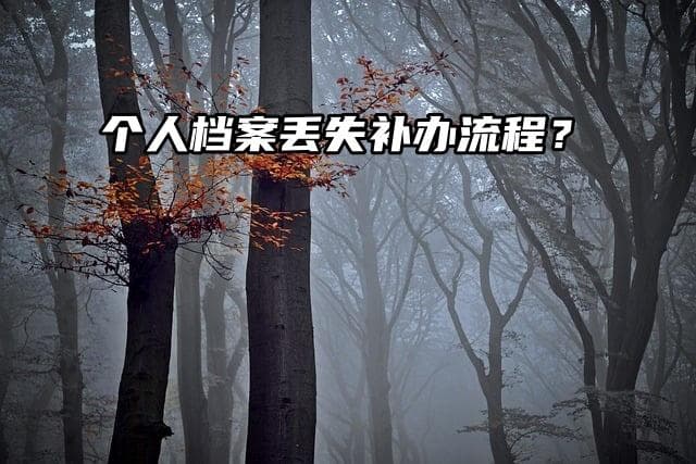 个人档案丢失怎么办？补办流程全攻略