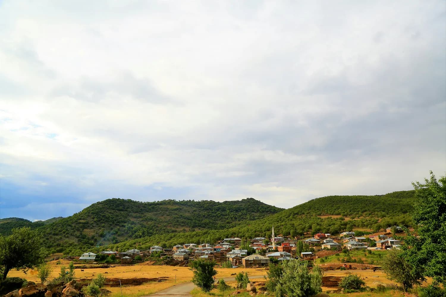 景东县景福镇勐片村：乡村振兴绘就美丽乡村新画卷