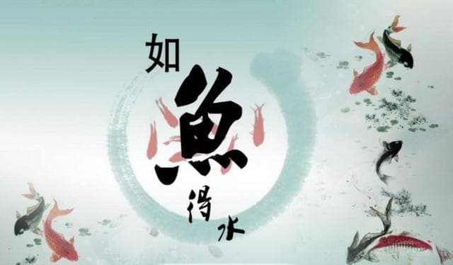 “如鱼得水”典出《三国志》，刘备以此形容与诸葛亮的完美契合