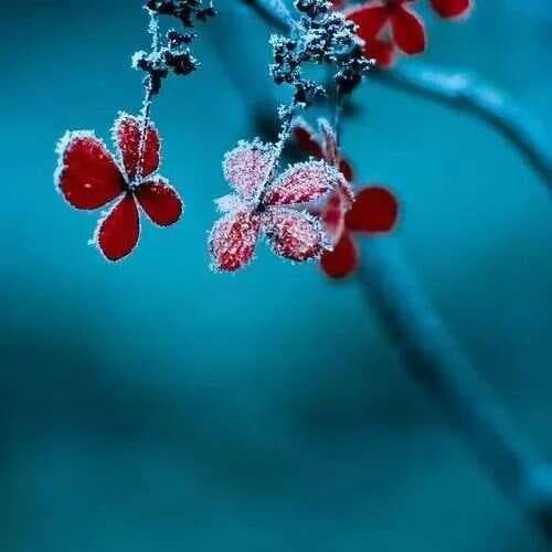 10首无法超越的经典，穿透灵魂的英文歌曲，值得你收藏！