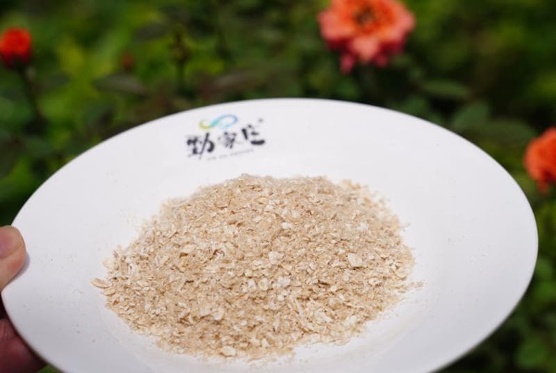 燕麦：肠道喜欢的超级食物