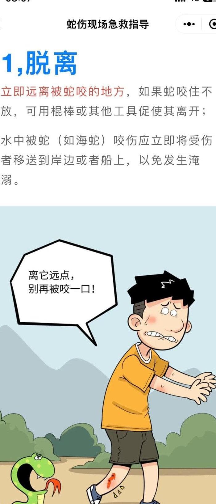 遇到蛇的正确处理办法（遇到蛇如何处理）