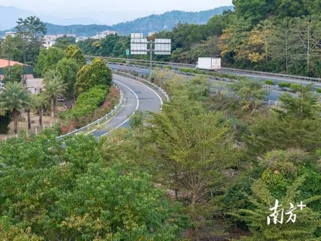 “绿美公路＋”，汕尾这样做！