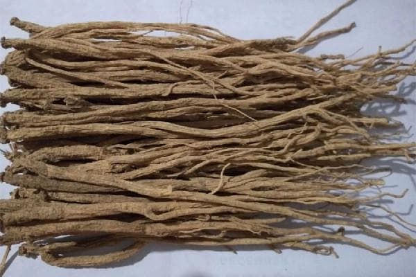 党参要切片还是不切片？党参怎么使用最好？