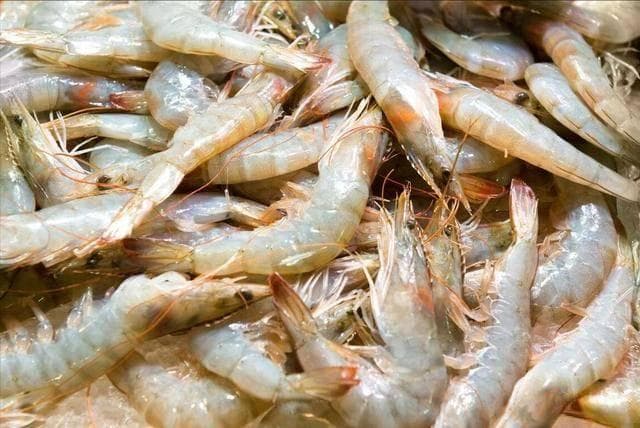 白灼虾和冰鲜虾，谁才是低脂高蛋白之王？