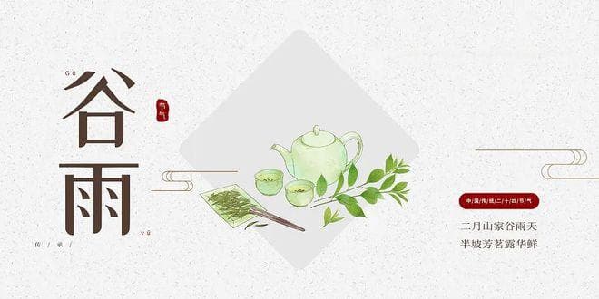 醒脾胃、去疲乏，“谷雨茶”应该这么喝