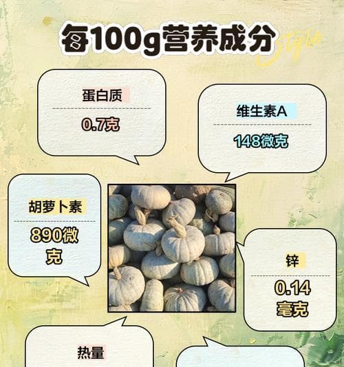 南瓜籽的神奇功效与作用（探索南瓜籽对人体健康的秘密）