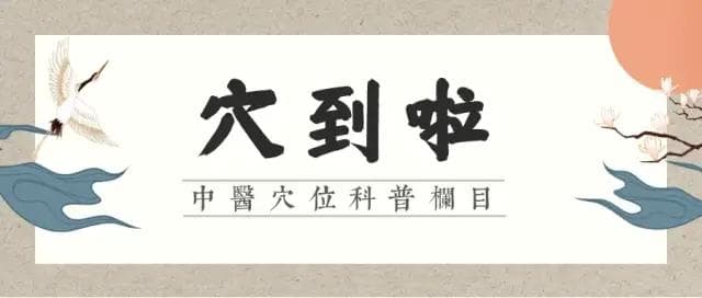 委中穴：一个能缓解腰酸背痛、清热祛湿、治疗头痛的下肢穴位