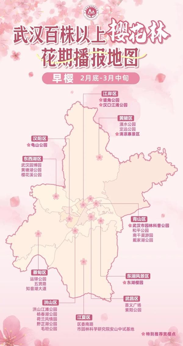 下周盛放！武汉最新赏樱地图出炉