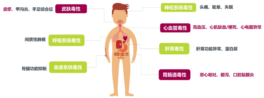 靶向治疗都有哪些副作用？该怎么预防？