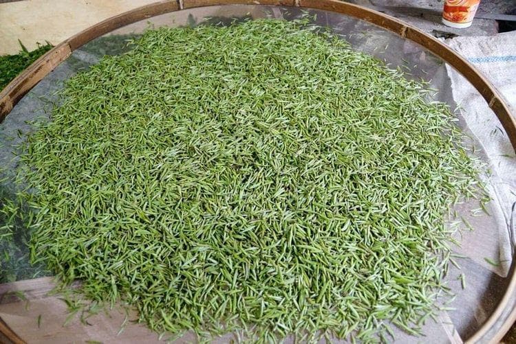 桐木关金骏眉红茶：精湛工艺与独特韵味