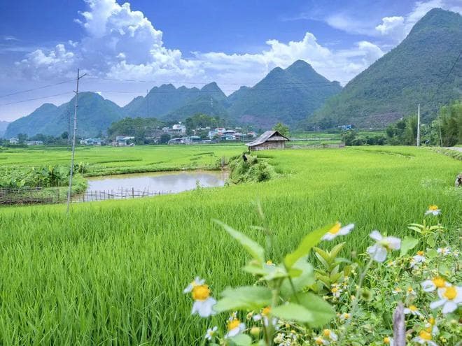 诗词丨史上最奇妙的9种古诗词，令人叹为观止