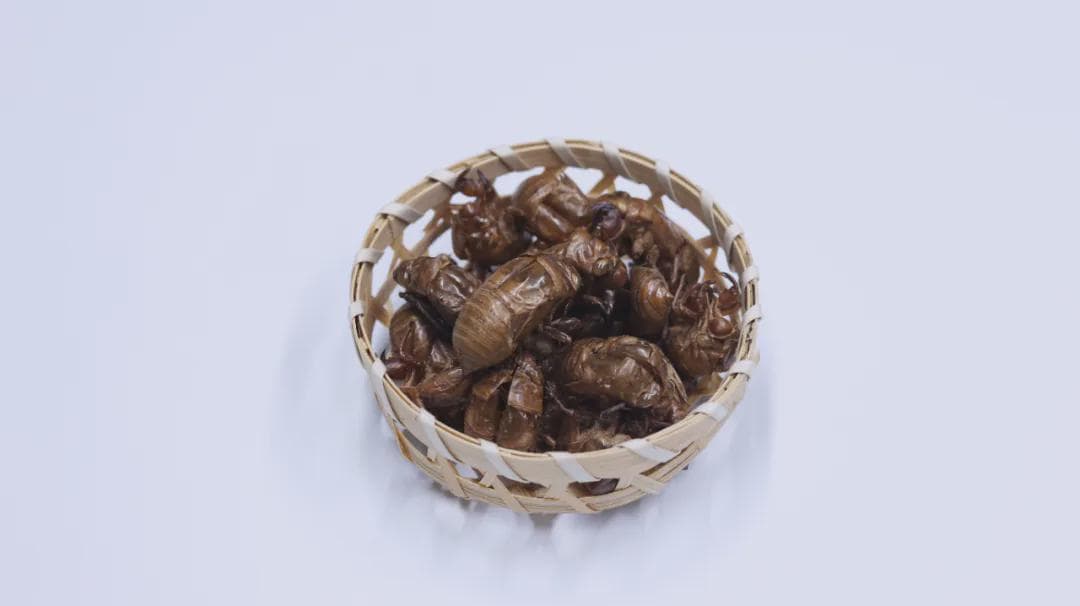 一个祛风止痒的奇效方，疏风除湿、清热养血，冬季皮肤瘙痒的刚需