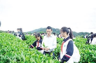 武夷山"上新"研学场景 打造地方特色文旅品牌