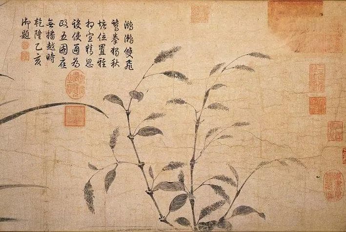 笺纸里的千年传奇：从薛涛笺到《十竹斋笺谱》