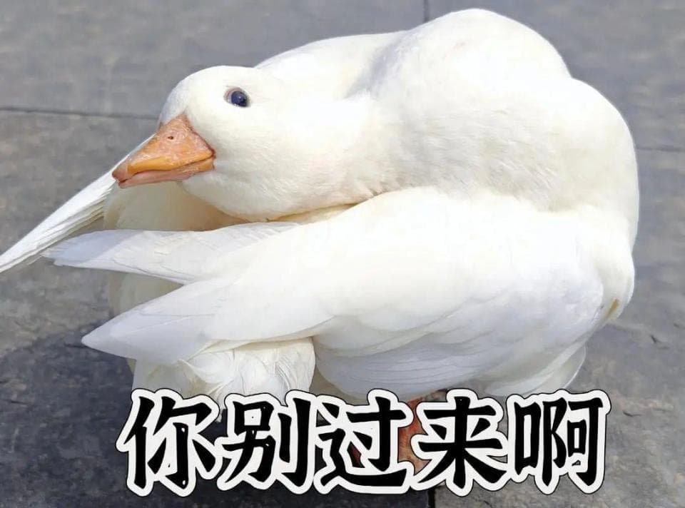 “鸭屎香”究竟和鸭屎是什么关系？