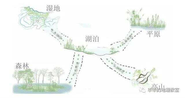 “易羊迁徙”的生态廊道还有其他功能，你了解多少？