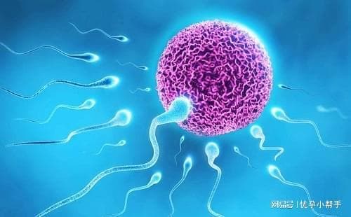 孕前叶酸该如何吃？备孕、怀孕的你真的了解它吗？