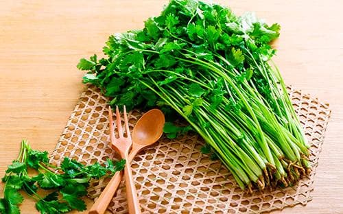 香菜和芫荽是一种菜吗？香菜的功效及食用方法全解析