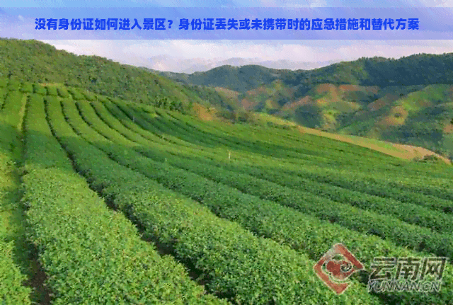 没有身份证如何进入景区？身份证丢失或未携带时的应急措施和替代方案