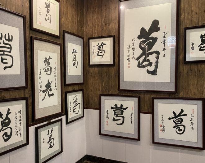 沈汮澄敬葛堂：葛根科研进展与成果展示