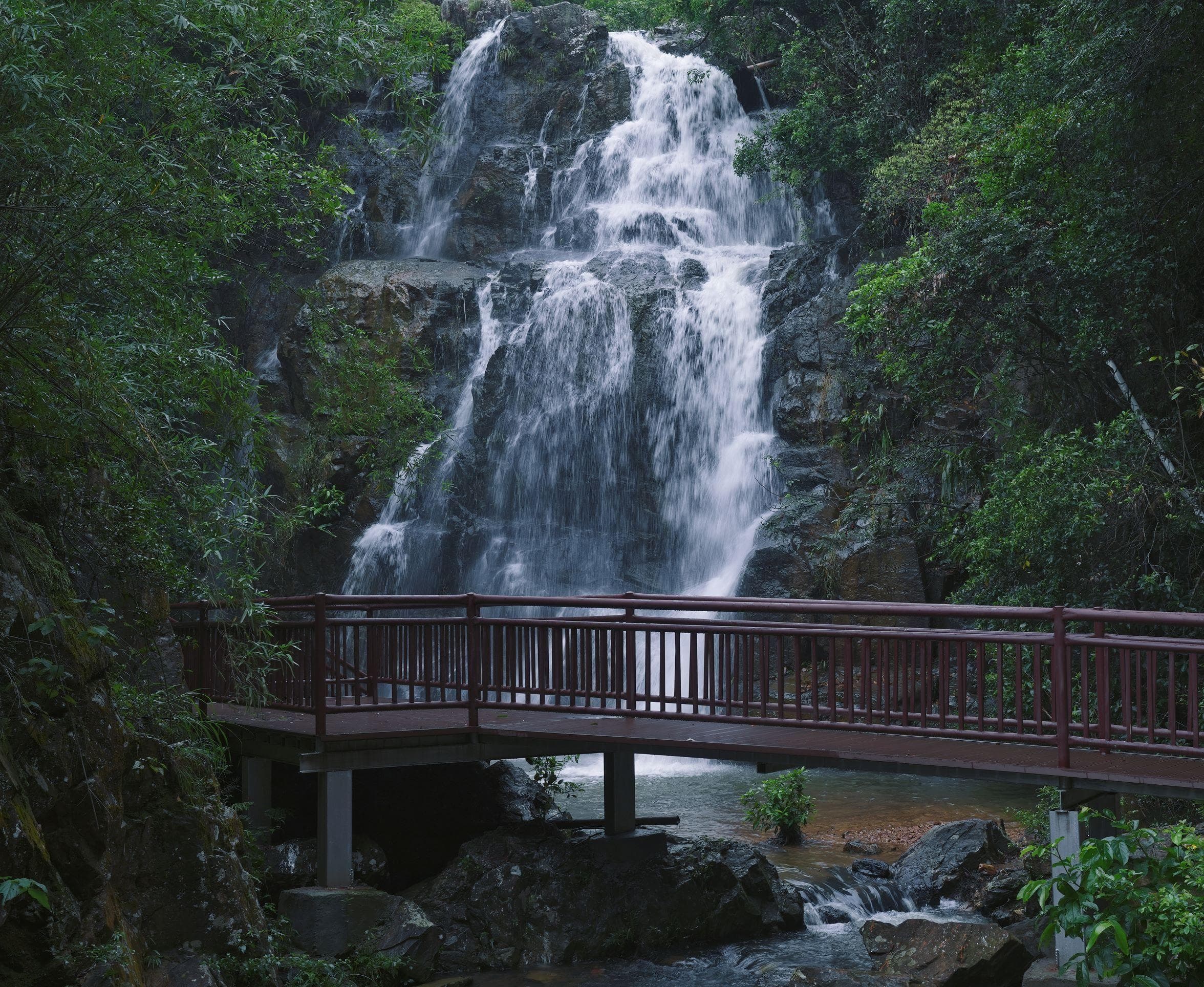 惠城芦洲：把绿水青山转化为高质量发展动能