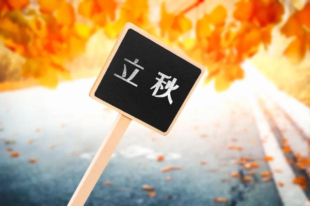 立秋养生首选足三里：健脾益气助免疫