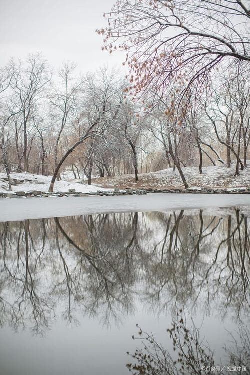 春天的雪称为什么？
