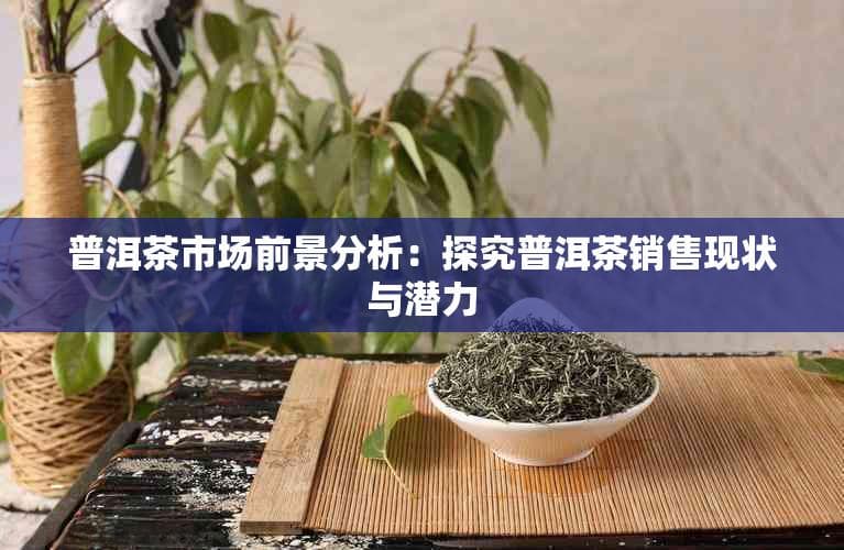 普洱茶市场前景分析：探究普洱茶销售现状与潜力
