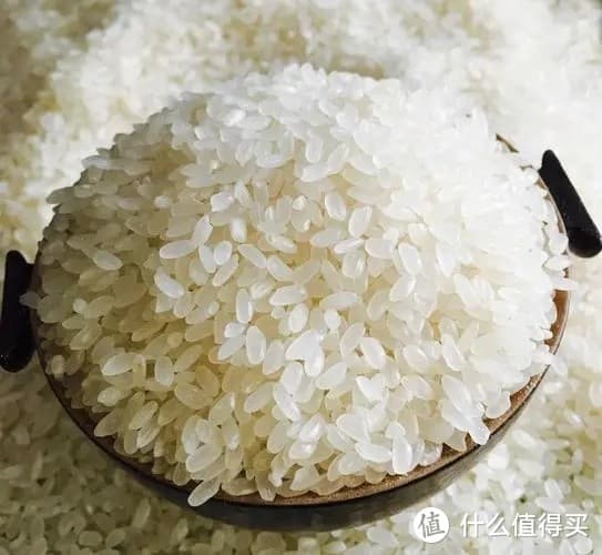 大米选购指南：品种、产地、技巧全解析