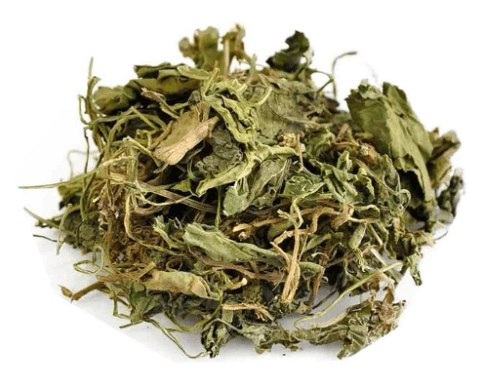 紫花地丁泡水喝的功效