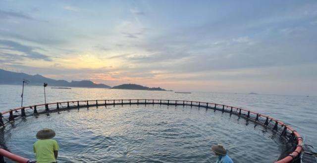 浅海收紫菜，深海养大鱼，南澳岛除了“彩虹海”还有“海洋牧场+”