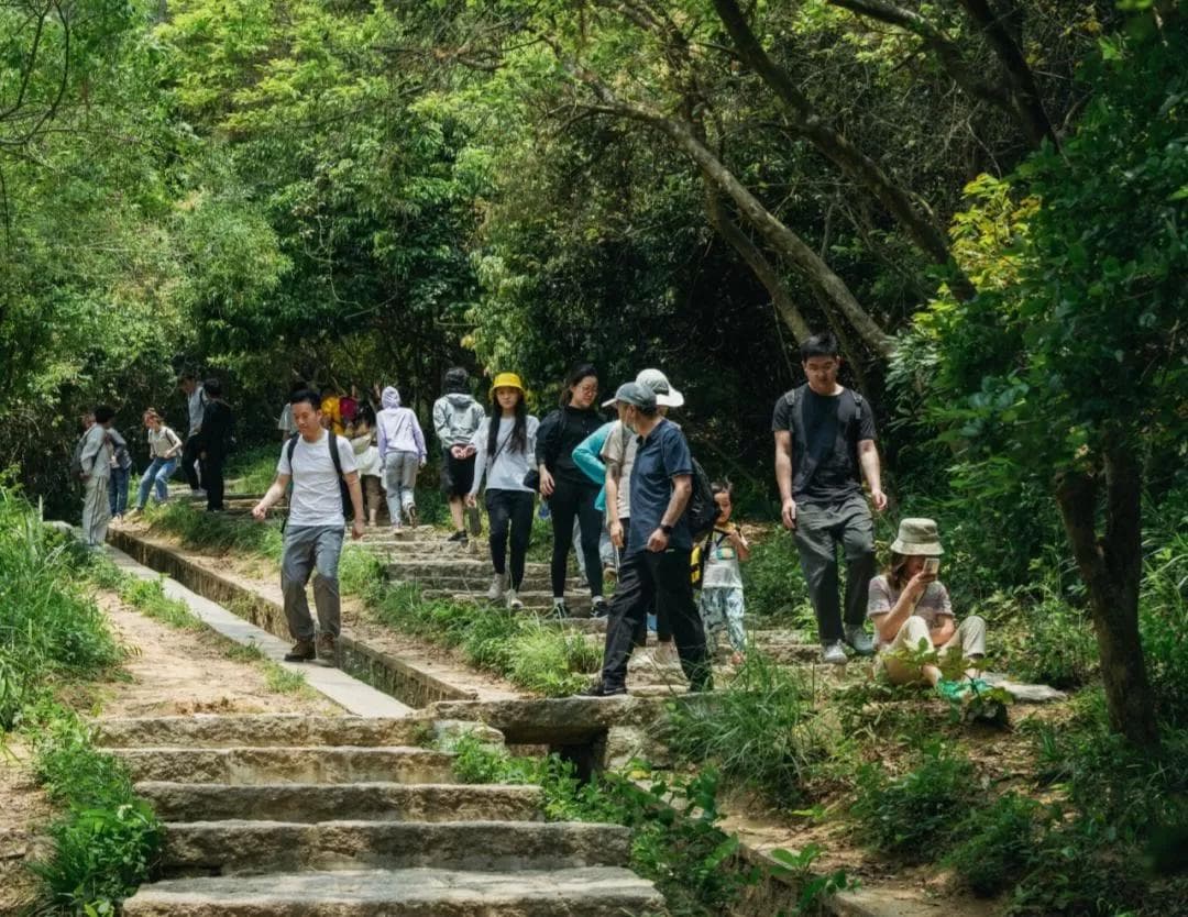 深圳塘朗山登山攻略：最佳路线图及交通指南