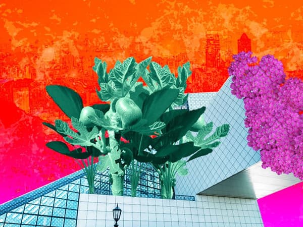 绿色建筑真的可以帮助应对气候变化吗？