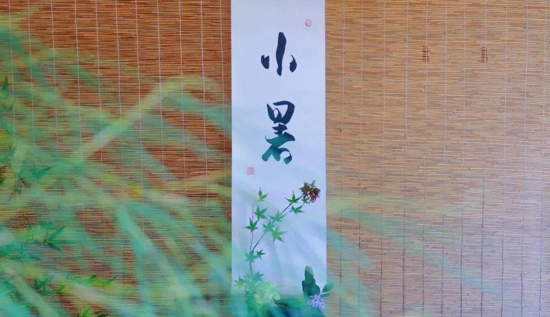二十四节气 | 小暑茶事 -- 夏之韵 心之遁