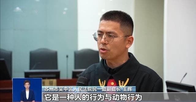 宠物“无接触”致人受伤 宠物主人是否要担责？一文了解