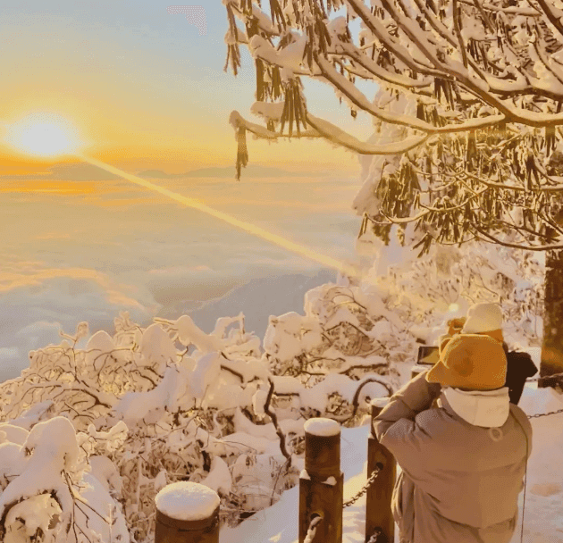 四川旅游五天四晚详细行程攻略，四川必打卡的景点有哪些？看完这篇绝不入坑！