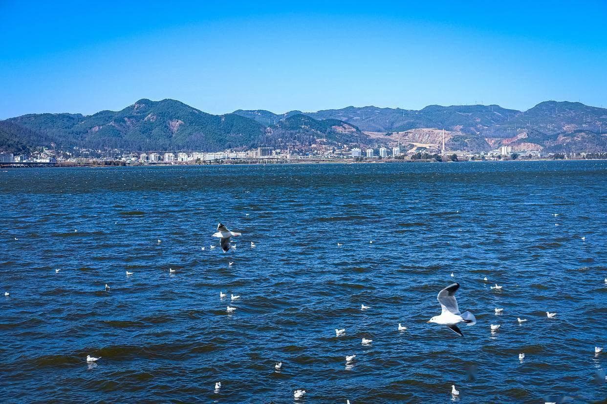 滇池和洱海哪个大？大小较量！揭秘云南湖泊之谜！