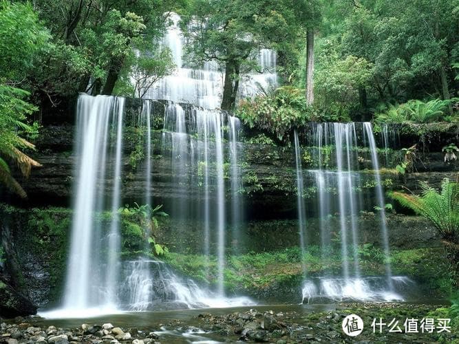 品味生活：从细节中寻找美好