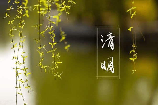 清明节气到，必吃“春菜5宝”！祛湿养肝又健脾，应季而食身体棒