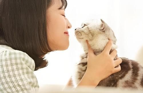 猫咪的情绪价值，你知道吗？