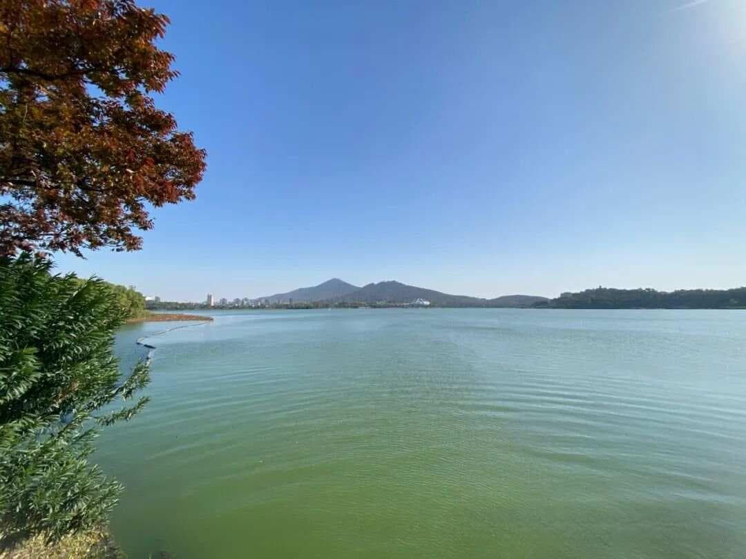 一套值得参考的日内15分钟K线交易系统