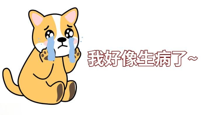 狗狗流泪不是因为伤心：7种健康问题及解决方案