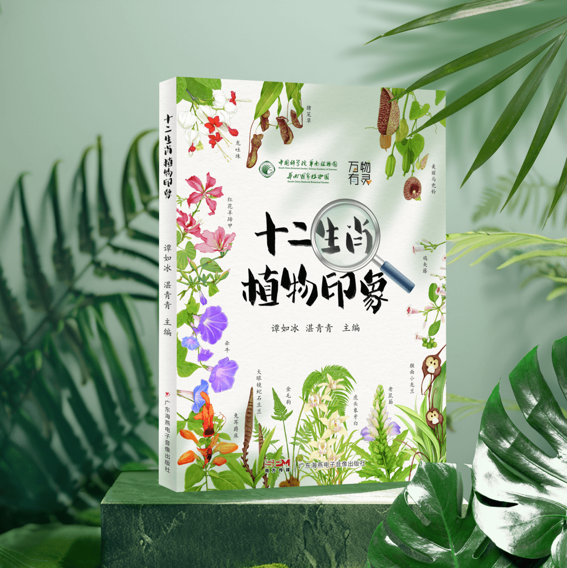 四时奇花织锦绣，“植说生肖”趣无穷