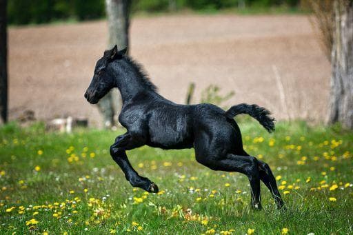 教师资格证获取指南：从考试到认定的完整流程
